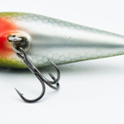 Poppeli lohivaappu, 5.5cm, 6.8g - pikkukuva 3