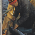 Urheilukalastus n:o 5 1984 Kajaani. Suomalaista Vieheteollis - pikkukuva 5