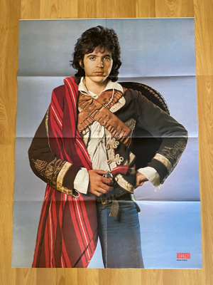 David Essex juliste