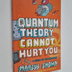 Marcus Chown : Quantum Theory Cannot Hurt You - A Guide t... - pikkukuva 1