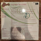 Alan Stivell - Chemins De Terre Lp (VG/EX-) - pikkukuva 2