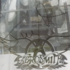 AEROSMITH TAULU KOLMELLA NIMMARILLA! - pikkukuva 3