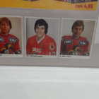 LIIGA 78 - 79, KERÄILYKUVAT,JARI KURRI, V-P KETOLA,SALEVA .. - pikkukuva 2