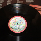 Simon Boswell - The Mind Parasites LP - pikkukuva 2