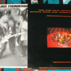 THE FABULOUS THUNDERBIRDS ~ Hot Number ~ LP - pikkukuva 2