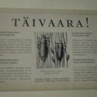 Täivaara! Loistietoisku, MiniMoi nro 1381, käytetty - pikkukuva 1