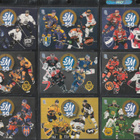 2024-2025 Blueline Finland Liiga 50 -juhlaottelu Team setit - pikkukuva 5