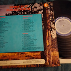 Hank Williams 2LP - pikkukuva 2