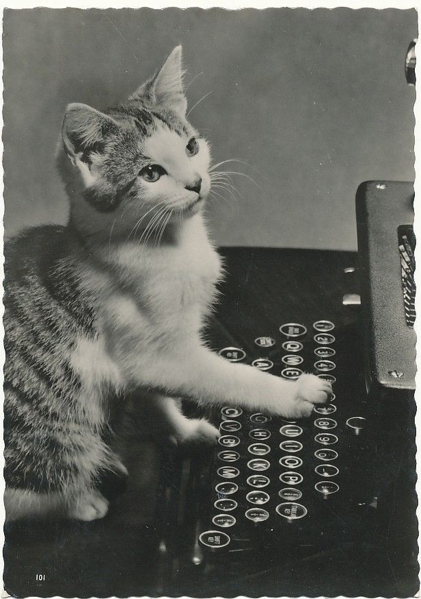 KISSA-kortti - kulk. 1957