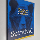 Rauma 96 Biennale Balticum : survival : 11.5.-14.7.1996 - pikkukuva 1