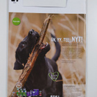 Nuusku 4/2015 - pikkukuva 2