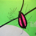 The Sugarcubes: Life's too good LP - pikkukuva 3