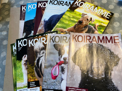 KOIRAMME LEHTI VUOSIKERTA 2024 HYVÄ