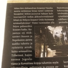 Kai ekholm: Libricide - haavoittuneet kirjastot - pikkukuva 3