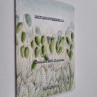 Bryobrotherella vol. 19 : Sammaluutisia suomesta - pikkukuva 1