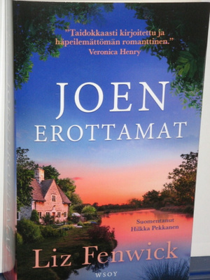Liz Fenwick : JOEN EROTTAMAT