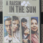A Raisin in the Sun - pikkukuva 1