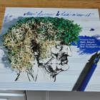 Masi Luoma & luojan luomat LP - pikkukuva 1