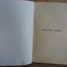 Maurice Leblanc: Kultainen kolmio, Kirja 1919. 224 s. - pikkukuva 4