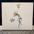 KASPAR - Kaspar cd digipak - pikkukuva 1