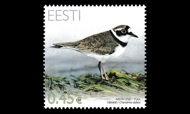 Eesti 731 ** Vuoden lintu pikkutylli (2012)