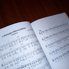 Tosi tärkeä vahvuus! : Musiikkisatu vahvuuksien äärellä - pikkukuva 5