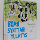 Jeanne Willis : Boan synttäriyllätys - pikkukuva 1