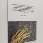 Hannu Ahokas : The exported winter rye form evolved in co... - pikkukuva 1