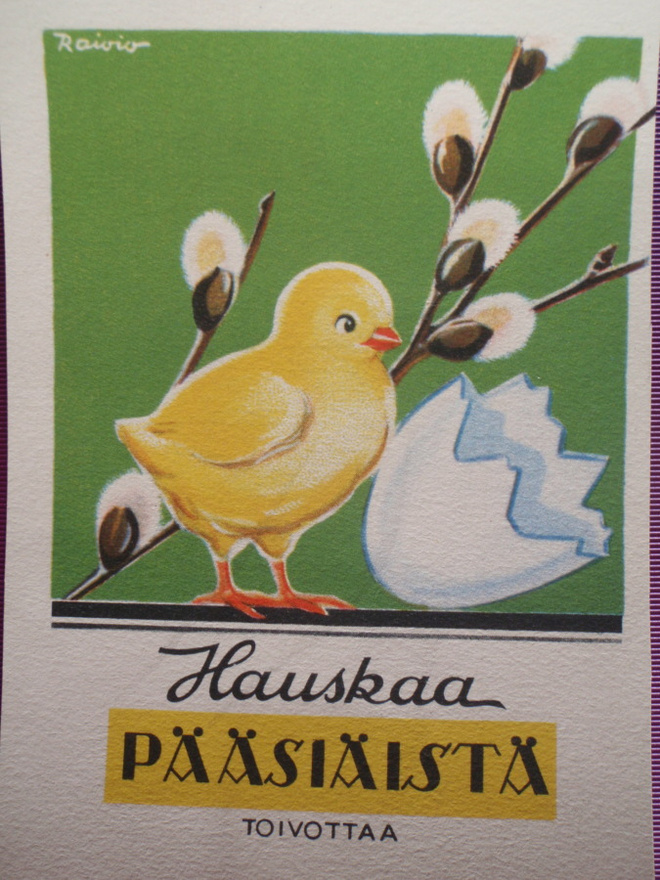 Etel Raivio tipu kuoriutunut munasta 2.