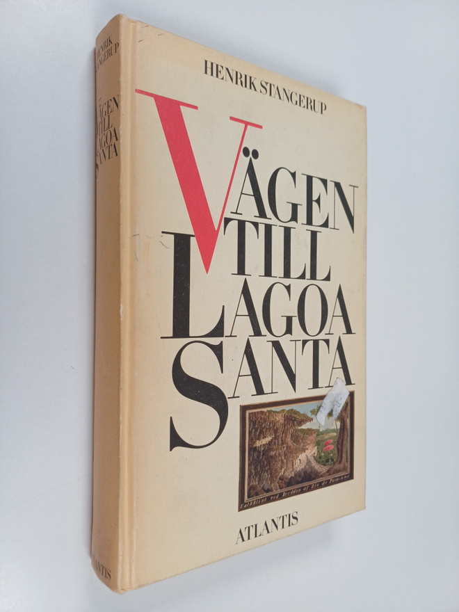 Henrik Stangerup : Vägen till Lagoa Santa