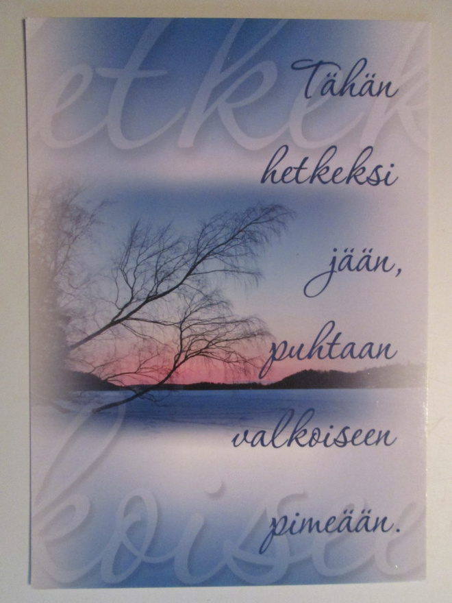 KULKEMATON HIENO ILTARUSKO MIETELAUSE MAISEMAKORTTI