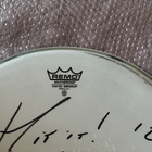 Max Weinberg (Brucen rumpali) käyttämä rumpukalvo nimmarilla - pikkukuva 2