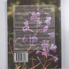 Henriette Kress : Käytännön lääkekasvit 1-2 - pikkukuva 2