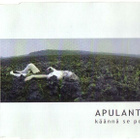 cds, Apulanta - Käännä se pois [rock] - pikkukuva 2