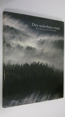 Roine Magnusson : Den underbara resan