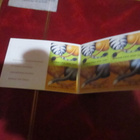 1999 ystävyys vihko Postituore - pikkukuva 2
