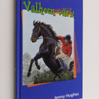Jenny Hughes : Valheen värit - pikkukuva 1