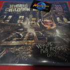 HYBRID CHILDREN - WHERE PUB ROSES GROW UUSI LP - pikkukuva 1