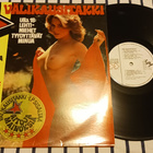 Välikausitakki – Välikausitakki lp orig 1978 Love Records - pikkukuva 1