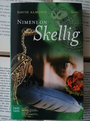 David Almond - Nimeni on Skellig (pokkari)