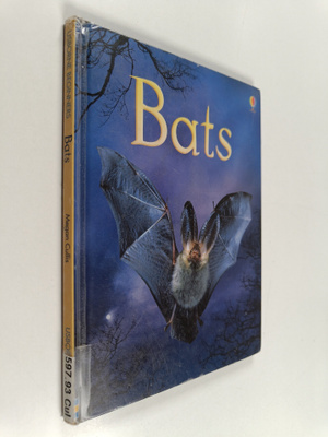 Megan Cullis : Bats