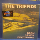 THE TRIFFIDS - BORN SANDY DEVOTIONAL LP EX-/EX+ - pikkukuva 1