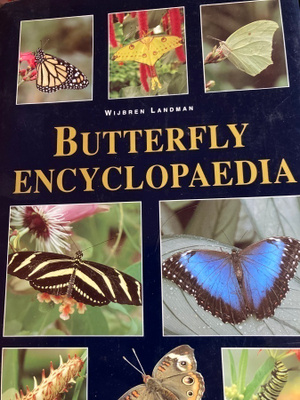 LANDMAN: BUTTERFLY ENCYCLOPEDIA