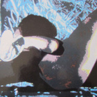Siglo XX – Flowers For The Rebels (rare Cold wave-albumi) - pikkukuva 3