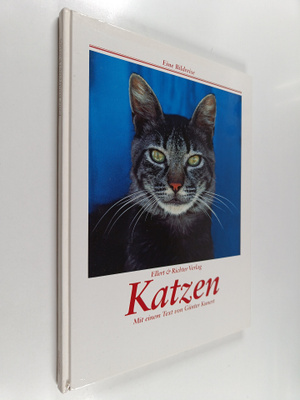 Katzen