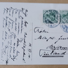 Pikkuleidi ja koira, onnittelut ja kukkia, p. 1910 Suomeen - pikkukuva 2