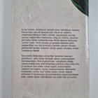 Victoria Holt : Riikinkukkolinna - pikkukuva 2