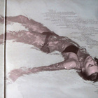 Joni Mitchell: The Hissing of Summer Lawns LP - pikkukuva 2