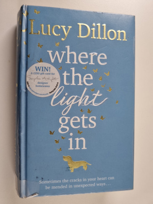 Lucy Dillon : Where the light gets in