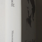 Virginia Woolf - Menomatka - pikkukuva 2